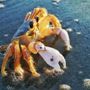 Meet your Posher, Janet